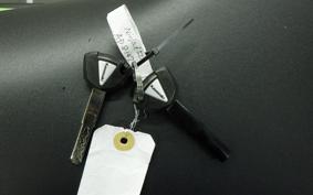 KAWASAKI NINJA 650 A 2025 ER650S