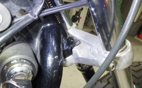 HARLEY XL883LI 2007