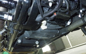 HARLEY FLTRX1920 2024