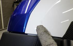 BMW F900R PREMIUM LINE 2024