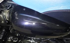 KAWASAKI W800 CAFE 2021 EJ800B