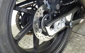 BMW S1000R M PACKAGE 2021