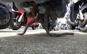 YAMAHA JOG POCHE SA08J