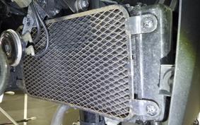 SUZUKI Vｽﾄﾛｰﾑ250A 1999