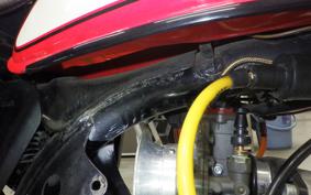 HONDA MONKEY 2011 Z50J