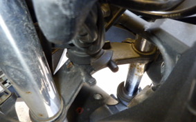 KAWASAKI NINJA 250 EX250L