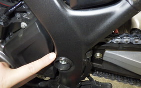 HONDA CRF250L 2009 MD47