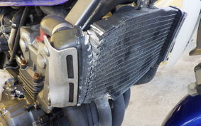 HONDA HORNET 250 MC31