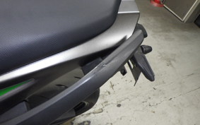 KAWASAKI NINJA 1000 SX 2024 ZXT02K