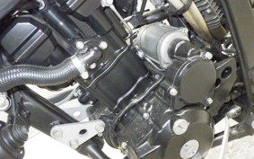 KAWASAKI KLX250D TRACKER X 2025 LX250V