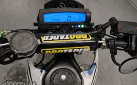 KAWASAKI D-TRACKERX LX250V
