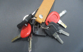 SUZUKI ADDRESS V110 CE47A