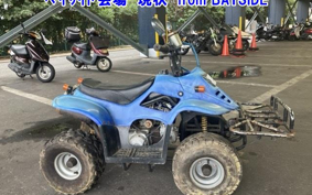 OTHER 4 WHEEL