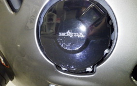 HONDA CBR1100XX 1999