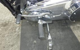 HARLEY FXDL 1580 2015