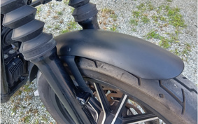 HARLEY XL883N 2015 LE2