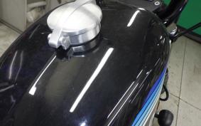 HARLEY XL1200NS 2019