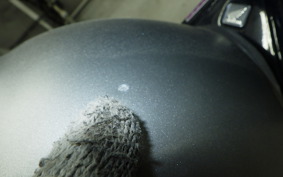 HONDA REBEL 250 2018 MC49