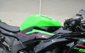 KAWASAKI NINJA ZX-6R 2020 ZX636G