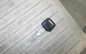 HONDA HORNET 250 MC31