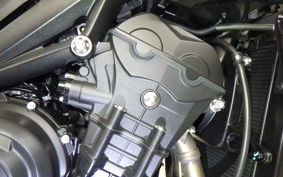 TRIUMPH STREET TRIPLE RS 2026