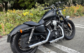 HARLEY HARLEY XL883N 2009 LE2