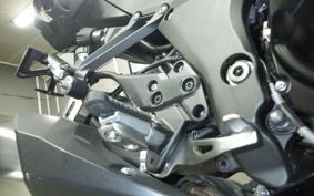 KAWASAKI NINJA 1000SX 2024 ZXT02K