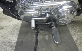 OTHER +HD. XL1200C-I 2015