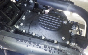 OTHER +ENFIELD ｼｮｯﾄｶﾞﾝ650 2024