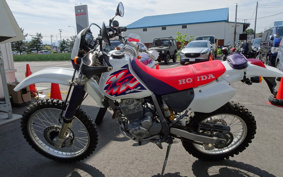 HONDA XR-250 MD30