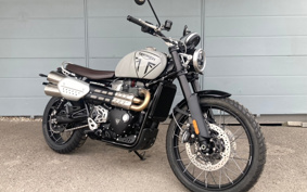 TRIUMPH  TRIUMPH  SCRAMBLER 1200X 2025 DADR0H