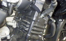 SUZUKI Vｽﾄﾛｰﾑ250A 2025