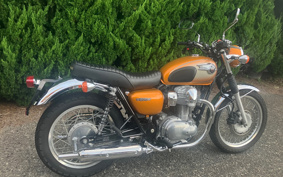 KAWASAKI W800 2011 EJ800A