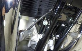 KAWASAKI W800 2025 EJ800E