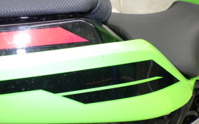 KAWASAKI NINJA 250 2019 EX250Y