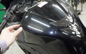 KAWASAKI NINJA 250 2009 EX250L