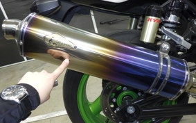 KAWASAKI ZRX1200 R 2007 ZRT20A