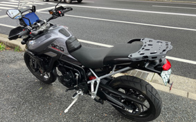 TRIUMPH TIGER 900GT PRO 2024 TRC82D