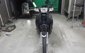 HONDA C110 SUPER CUB 2009 JA10