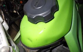 KAWASAKI KLX250 2007 LX250E