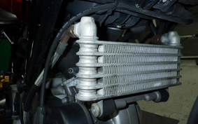 DUCATI SPORT 1000 2006