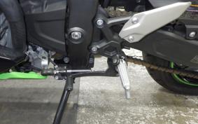 KAWASAKI ZX-4RR 2023 ZX400P
