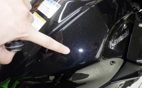 KAWASAKI Z250 Gen.2 2024 EX250Y