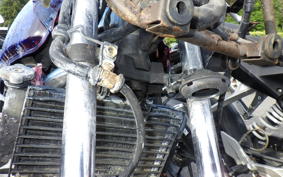 HONDA XELVIS MC25