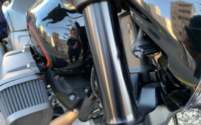 HARLEY HARLEY FXDRS 2021 YVK