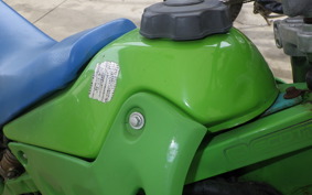 KAWASAKI KDX125 SR 2022 DX125A