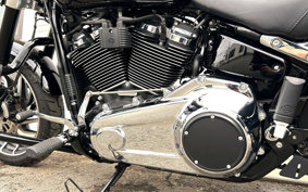 HARLEY FLSB 2021 YMJ