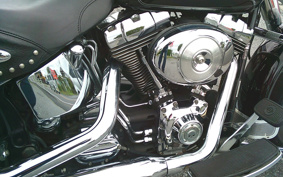 HARLEY FLSTC 2005 BJY