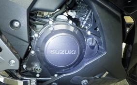 SUZUKI GSX250R