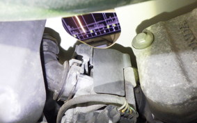 HONDA C50 SUPER CUB 2008 AA01